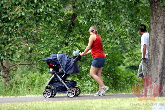 Baby Stroller Friendly