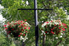 Flower Pots