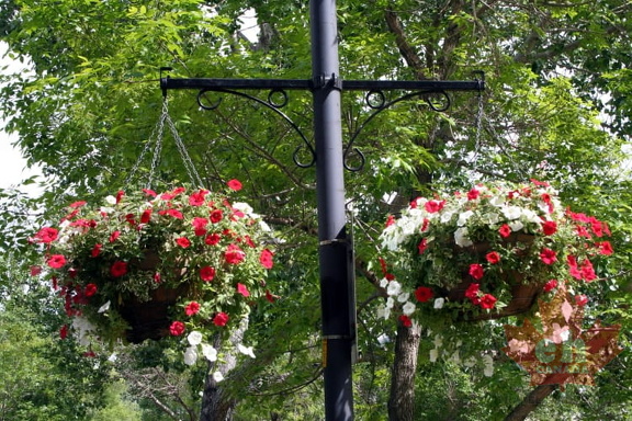 Flower Pots