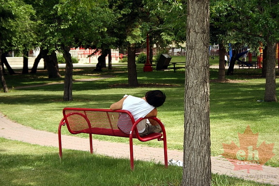 China Town Bench