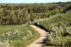 Recreation Trails in Bow Valley