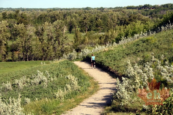 Recreation Trails in Bow Valley
