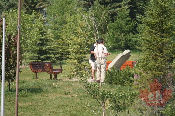 Sitting Benches