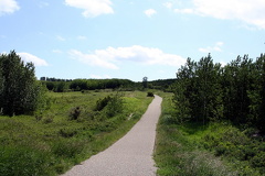 Brisebois Trail