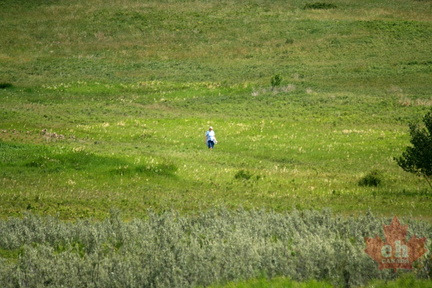 Hiking