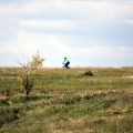 Mountain Biking