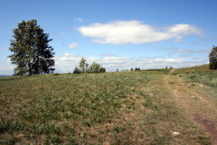 Dirt Trails