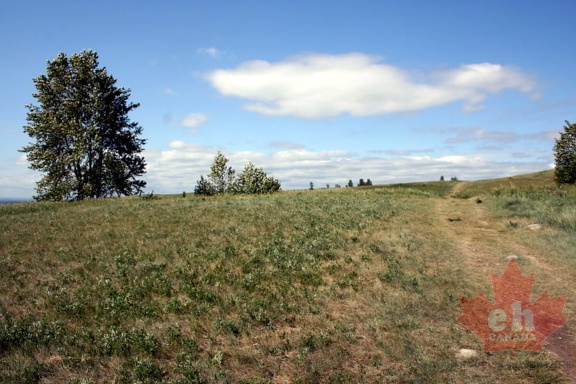 Dirt Trails