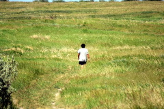 Jogging