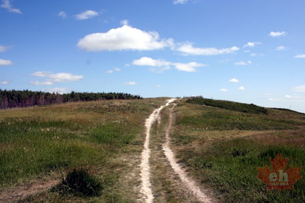 Trail