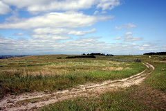 Recreation Trails