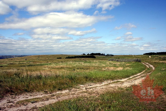 Recreation Trails