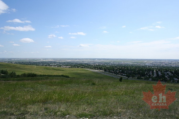 Grassland Views