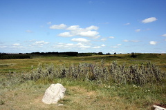 Prairie Grasslands