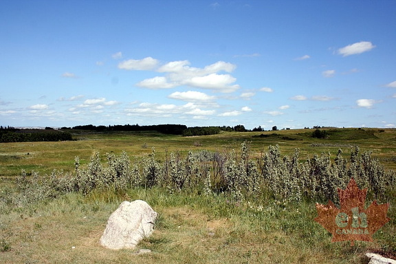 Prairie Grasslands