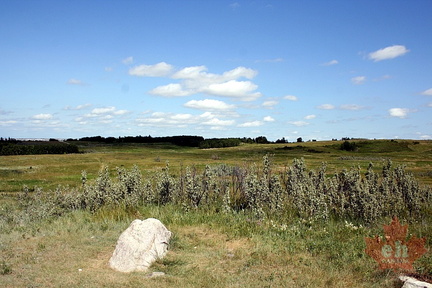 Prairie Grasslands