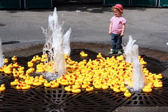 Rubber Ducks