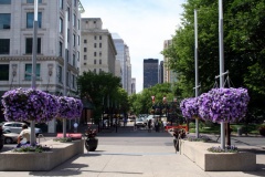 Purple Streets