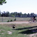 Biking