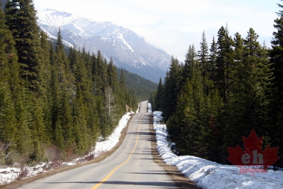 Akamina Parkway