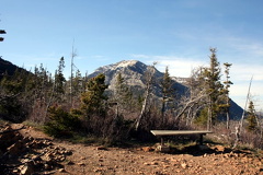Sightseeing Bench
