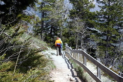 Hiking