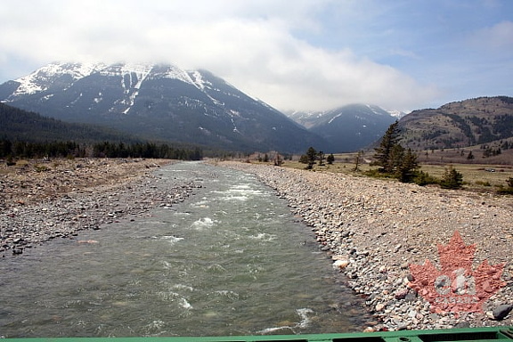 Blakiston Creek