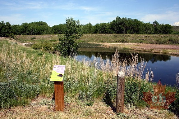 Interpretive Signs