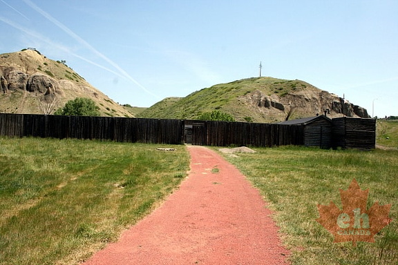 The Fort