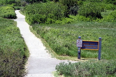 Nature Trail