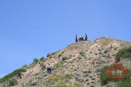 Coulee Viewpoint