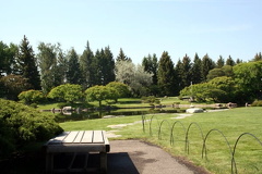 Walking Path