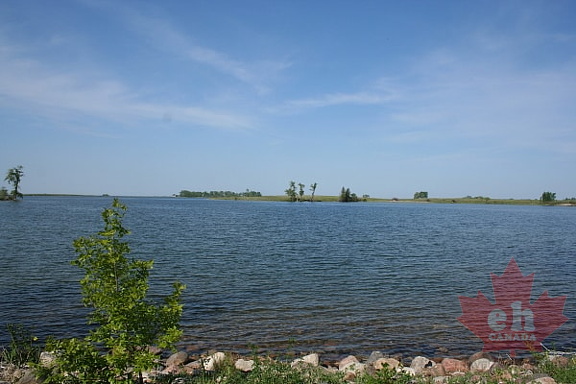 Lake Views
