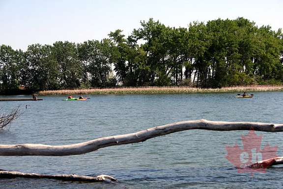 Paddle the Lake