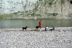Dog Park
