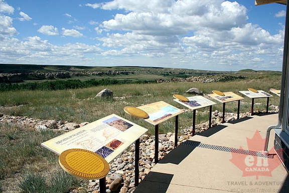 Viewpoint