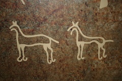 Carvings on Display
