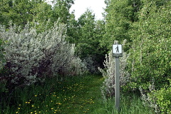 Firerock Trailhead