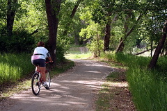 Lions Biking