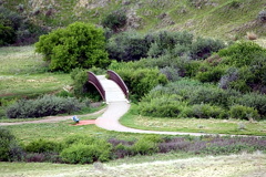 Trail Bridge