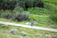 Heritage Trail System