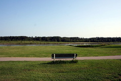 Sightseeing Benches