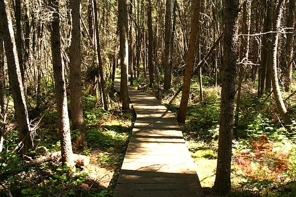 Boardwalk Trail in Prince Albert National Park
