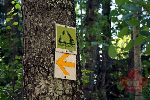 Amiskowan Trail Signs