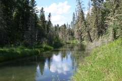 Kingsmere River in Prince Albert National Park