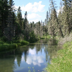 Grey Owl Historic Site and Kingsmere River Trail