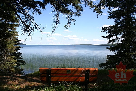 Sightseeing Bench on Waskesiu Lake