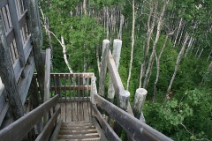 Tower Steps