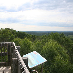 Spruce River Trail & Tower in the Prince Albert National Park