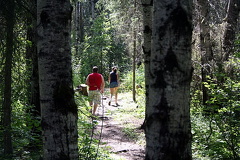 Hiking in Prince Albert National Park 